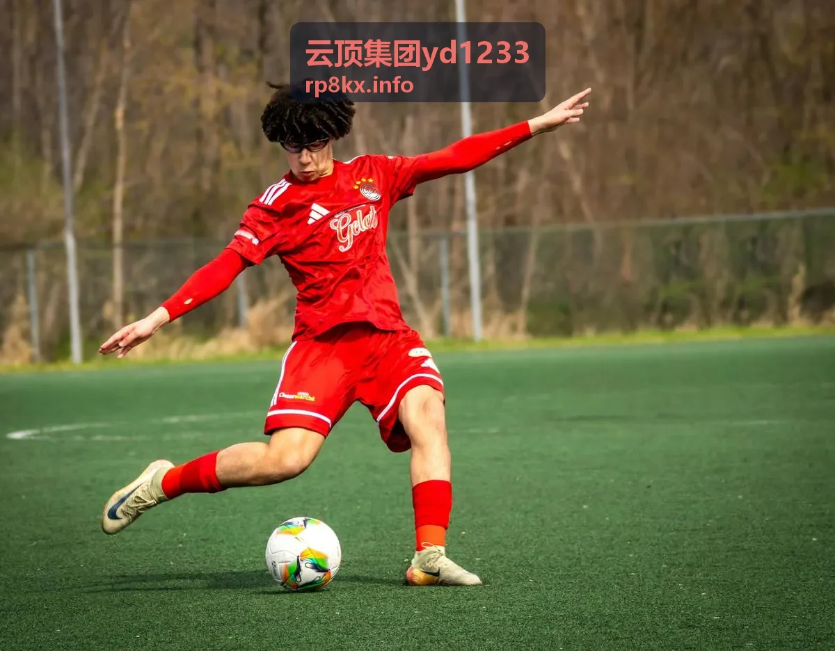 云顶集团yd1233数据驱动决策实战指南